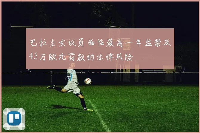 巴拉圭女议员面临最高一年监禁及45万欧元罚款的法律风险