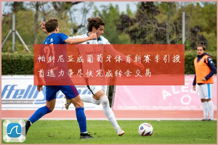 帕利尼亚成葡萄牙体育新赛季引援首选力争尽快完成转会交易